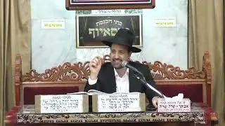 הרב מאיר אליהו   פרשת בא
