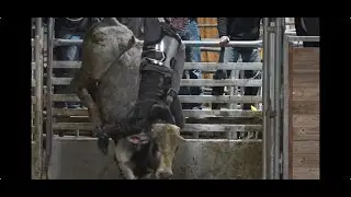 Experience a Bull Riding Clinic With Wiley Petersen
