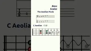 Bass Scales, Aeolian Scale, C Aeolian, Aeolian Mode #bassacoustic #bajoacustico #basslesson