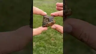 Real Dinosaur Fossil Mining Kit!