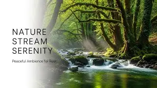 Natural Forest Ambience with Green Stream Flow for Sleep Meditation Focus Inner Peace and Relaxation