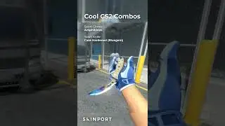 Coolest Skin-Combos in CS2