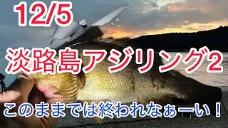 12/5淡路島アジリング2