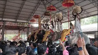 Kannenkavu Pooram 2026 | Karinkali & Elephant Procession | Temple Festival Vibes ചങ്ങരംകുളം 