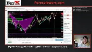 Tue August 4 - Lets talk FOREX - New Camera - Aggressive C Buy/Sell