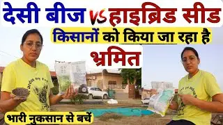 सरसों की सफल खेती के लिए desi seed 🆚️ hybrid seed | sarson ki kheti | Sarso ki top variety 2023