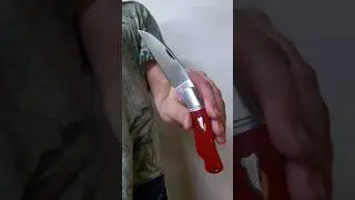 Daily Pocket Check 893 Rough Ryder Reserve Shapeshifter