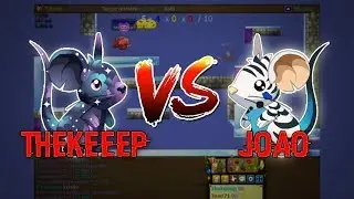 ► Thekeeep VS Joao71 | Transformice (2018)