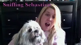 Sebastien Hates Being Sniffed