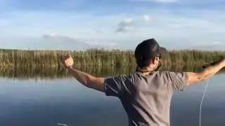 Fly fishing cast in slow motion
