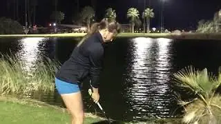 IMG 4356