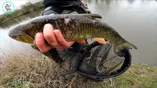 River Chiers i Semois Ardennes