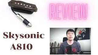 รีวิวปิคอัพกีต้าร์โปร่ง SkySonic A810