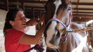Riding Horses in Greece [Official Trailer] Equestrian Travel Adventures in Lesvos