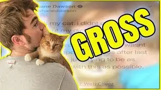 this tweet may end Shane Dawson