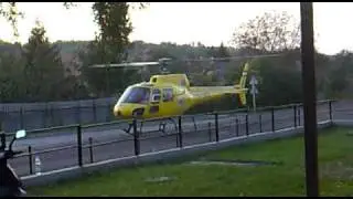 20101004009