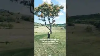 let children play and  run wild in nature