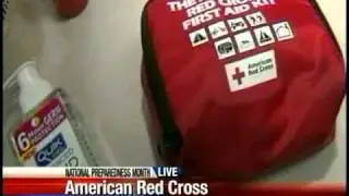 Red Cross urges disaster emergency kits