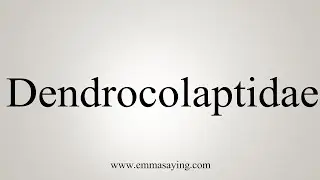 How To Say Dendrocolaptidae