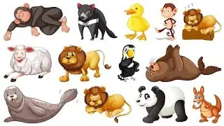  types of animals#englishkidsvideo #english#learning#music #kidslearning #education #preschool 