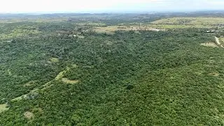 Farm for sale East London South Africa
