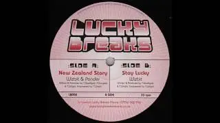 Wizbit & Ponder - New Zealand Story