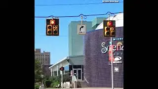 Dog House Traffic Lights