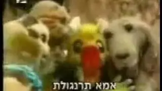 קיטי קט וחומי