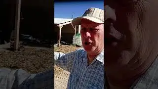 Prepper's Shorts 013 &ndash; More Wood Chips For The Prepper Garden #garden  #preppergarden