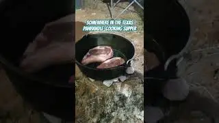 Lodge Seasoned Cast Iron Deep Camp Dutch Oven - 12 Inch / 8 Quart  