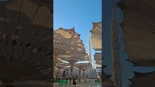 Madinah masjide Nabwi 😍 #youtube#shortsviral#trendingnow#madina