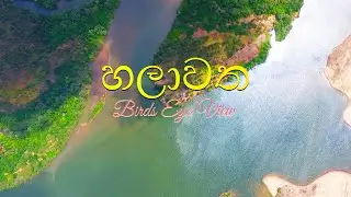 හලාවත මෝය - Birds Eye View (Chilaw - Halawatha)