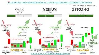 📚 Price Action: How to trade REVERSALS = 80% SUCCESS RATE | LIKE A PRO | SUPPORT & RESISTANCE | BOTT