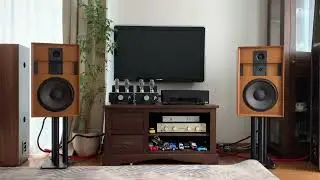 Audion 300B PSE Silver Night + Cabasse Sampan - Comme un tango