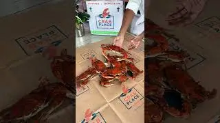 How Many #BlueCrab Can YOU Eat In One Sitting? - www.CrabPlace.com