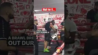 Shocking Brawl Erupts During Boxing Match😳 #shortsvideo #shorts