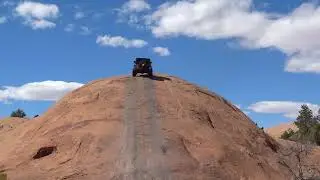Moab 2023 EJS - Steve L - Baby Lions Back
