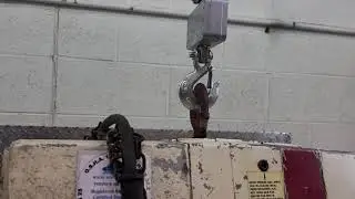 Coffing 1/2 Ton Electric Chain Hoist EC-1016-3 460v-3 16 FPM #A