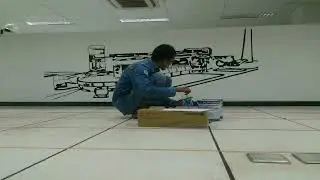 Timelapse mural