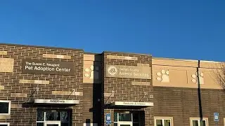 DeKalb County pet owners will have to register new litters in 2026