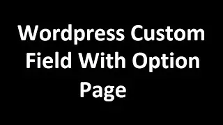 Wordpress Custom Field With Option Page