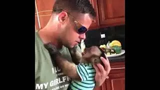 Funny cute animals vidoos of Dogs cats kittens and pet babies for playing in 2021