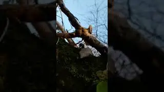 Vliegveld ockenburg  ww2