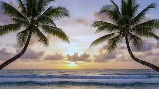 Two Palm Trees on the Beach under Magical Rain | Complete Relaxation to Relieve Insomnia 