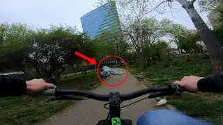 NEAR MISS WITH A PIGEON (no talking ride along)