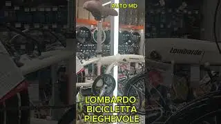 20 Luglio 2025 BICICLETTA LOMBARDO EVERYDAY PIEGHEVOLE