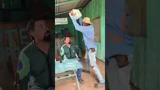 Lagartixa achou o que estava procurando ￼