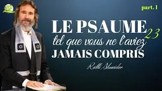 Le Psaume 23 Tel Que Vous ne L'aviez Jamais Compris | Rabbi Shneider