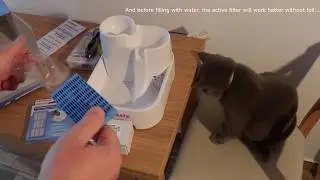 CatMate fountain and FURminator unboxing, test and review