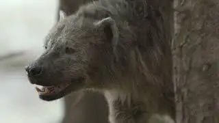 An&aacute;lisis de Prehistoric Planet: Ice Age, parte 3
